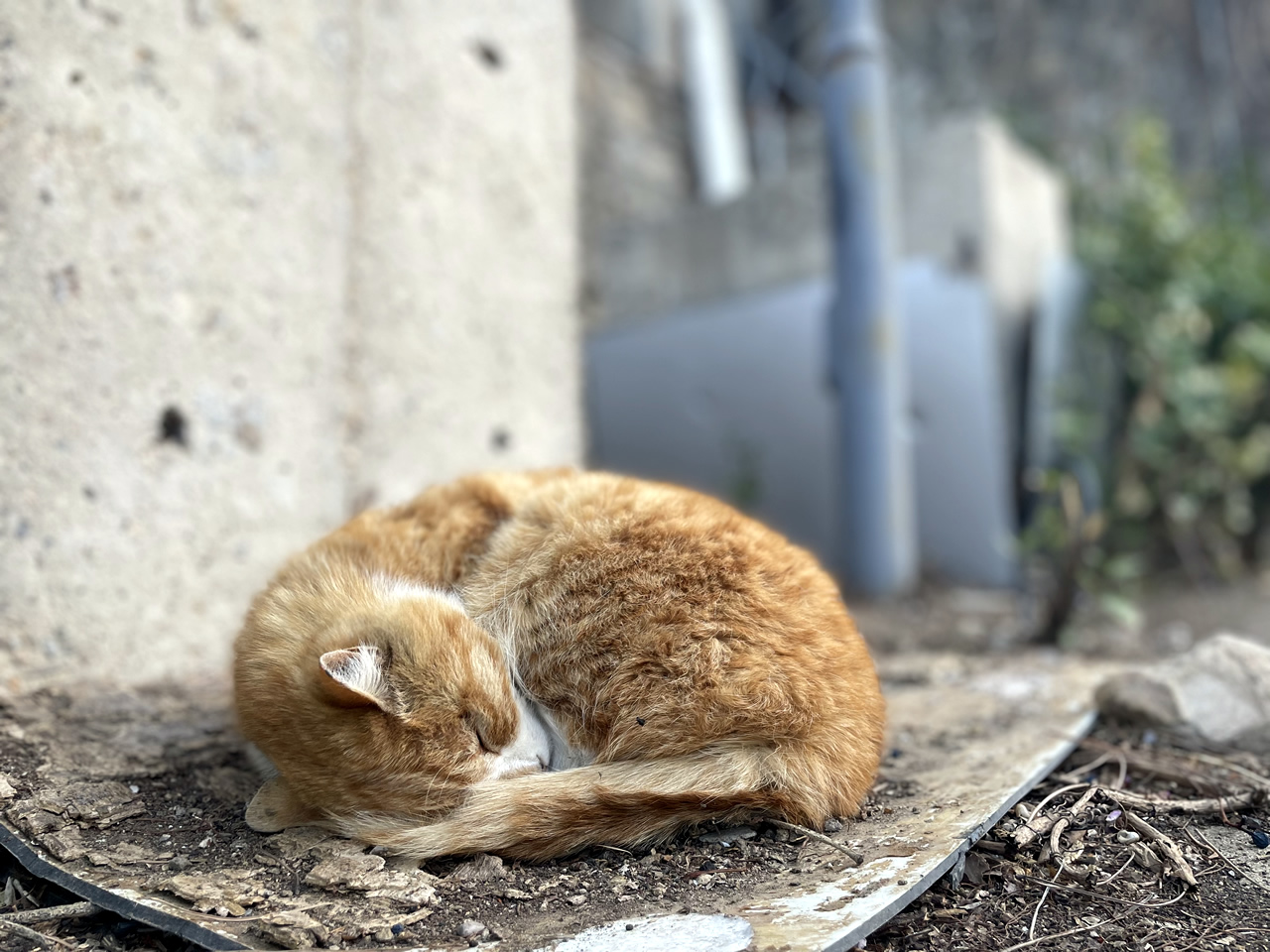 Beijing travel photos 002(图2)