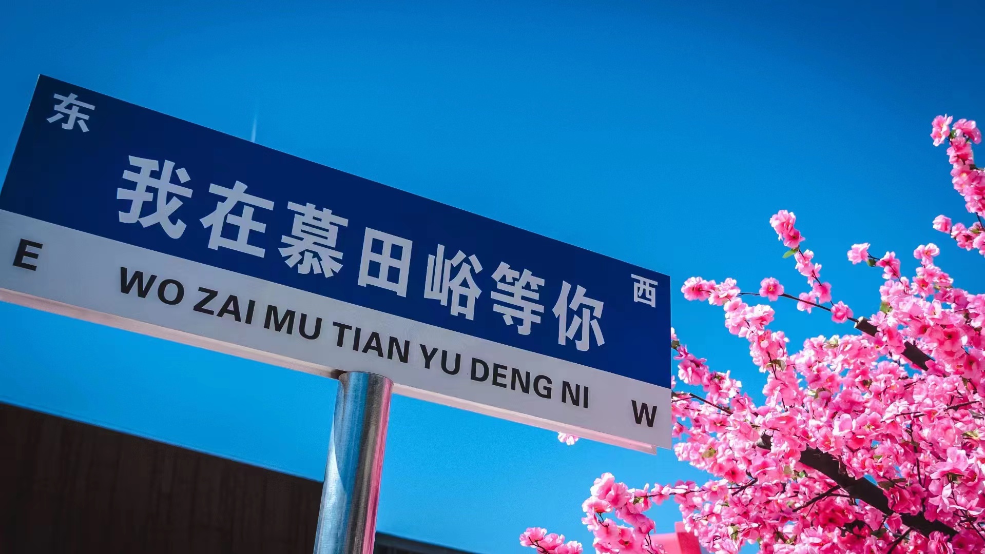 【Travel Route】Extreme Challenge Route