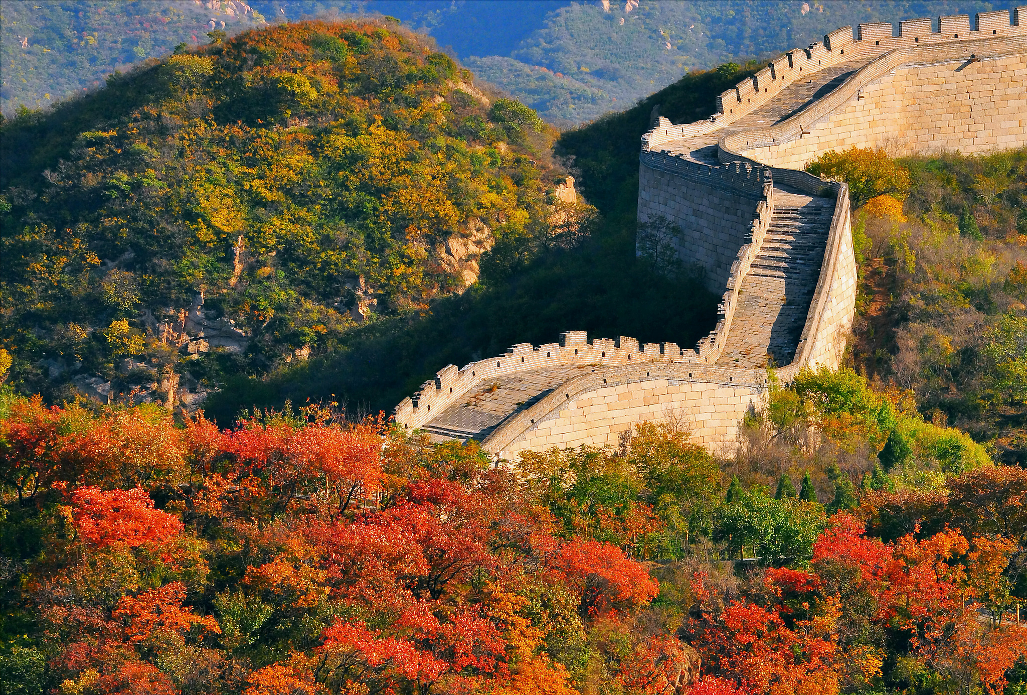 Russian team Beijing morning exercise guide: a complete guide to the Tai Chi experience in Jingshan Park(图2)