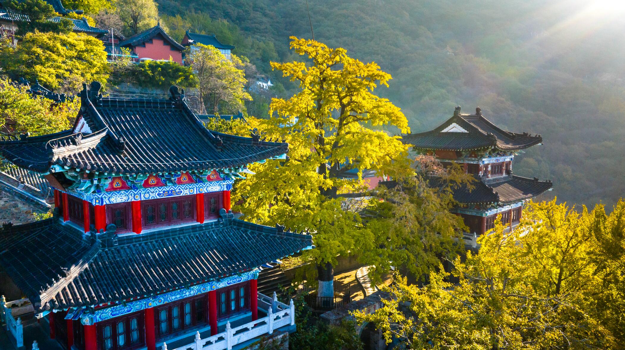 Huaguo Mountain - Nationwide cultured youth collec