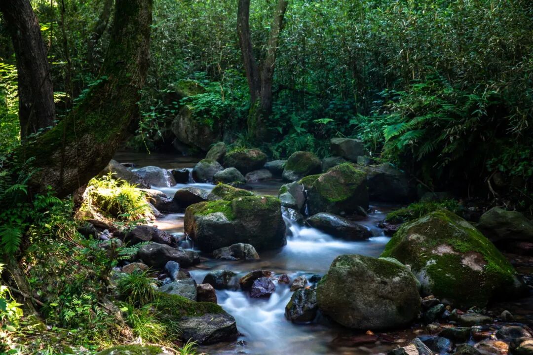 Friendly reminder | Shuanglong Scenic Tourism Area is safe during the plum rain season(pic3) Friendly reminder | Shuanglong Scenic Tourism Area is safe during the plum rain season(pic3)