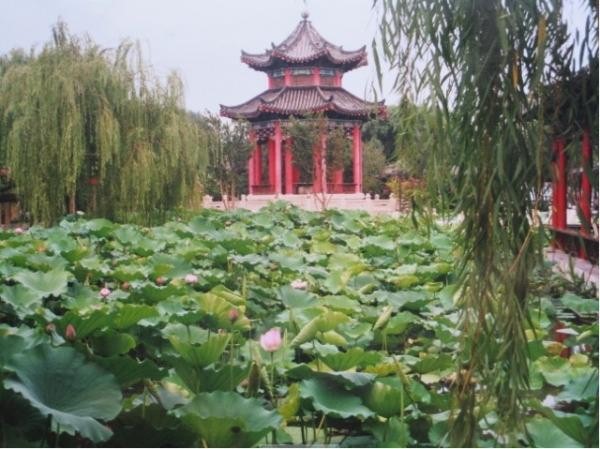 Lotus Charm of Canglang&Xiaocanglang Pavilion