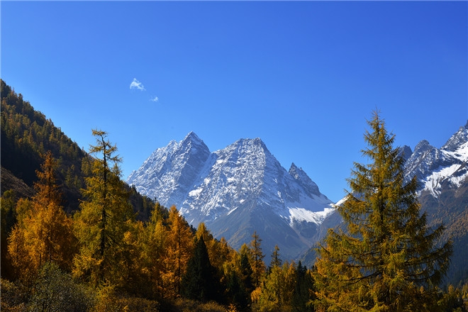 General situation of Siguniang mountain