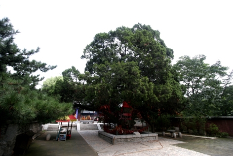 Mount Tai ：Taohuayu Sightseeing Route 