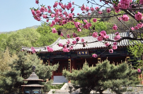 Mount Tai :Taohuayu Sightseeing Route (pic2) Mount Tai :Taohuayu Sightseeing Route (pic2)